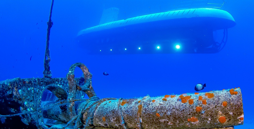 see unique and fascinating natural coral reefs fish and other marine life in air conditioned comfort and safety maui atlantis adventures