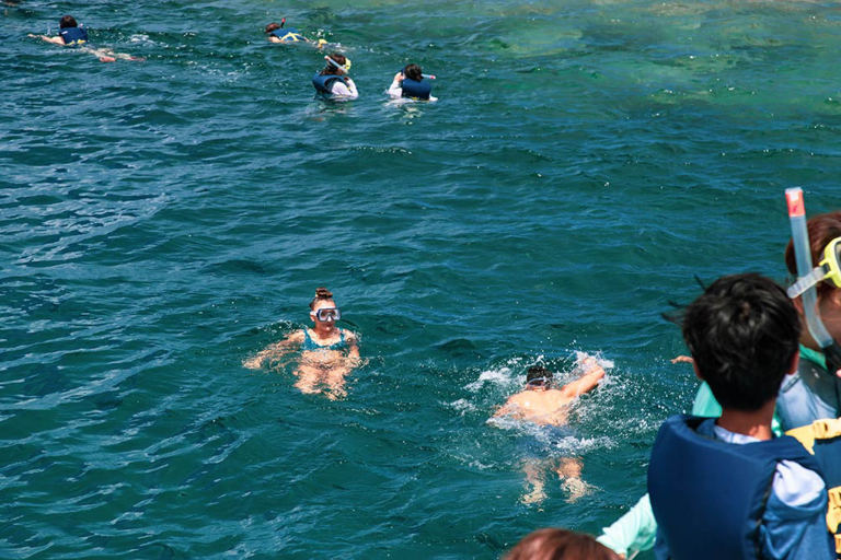 Captainbobspicnicsail Group Snorkel