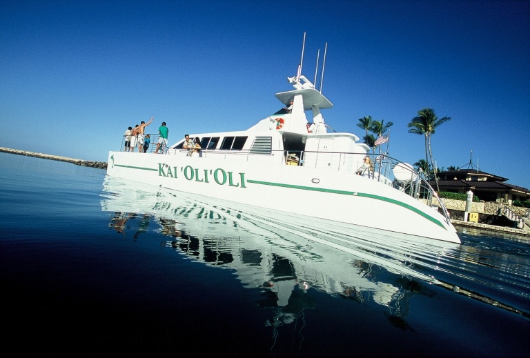 ocean joy cruises afternoon snorkeling cruise