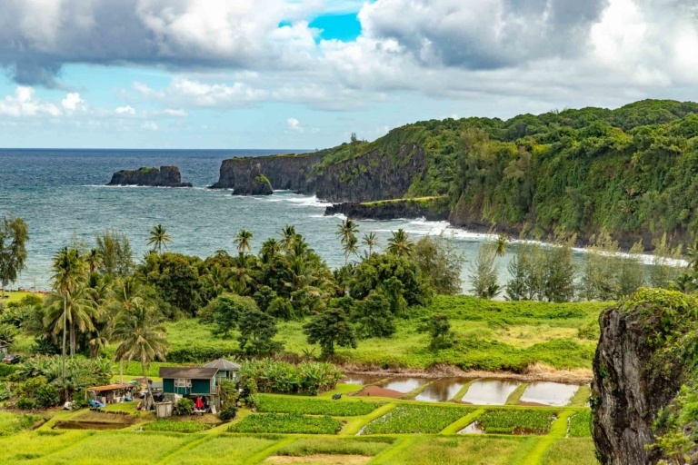 Keanae Peninsula Taro Farm and Cliffs Road to Hana Maui EX