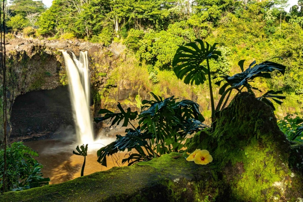 Rainbow Falls and Flowers Hilo Big Island