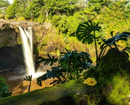Rainbow Falls and Flowers Hilo Big Island