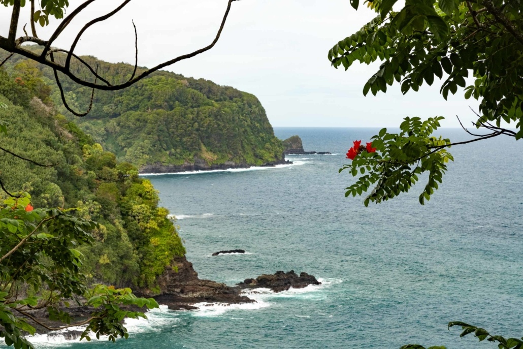 Road to Hana Cliff Views and flowers Maui