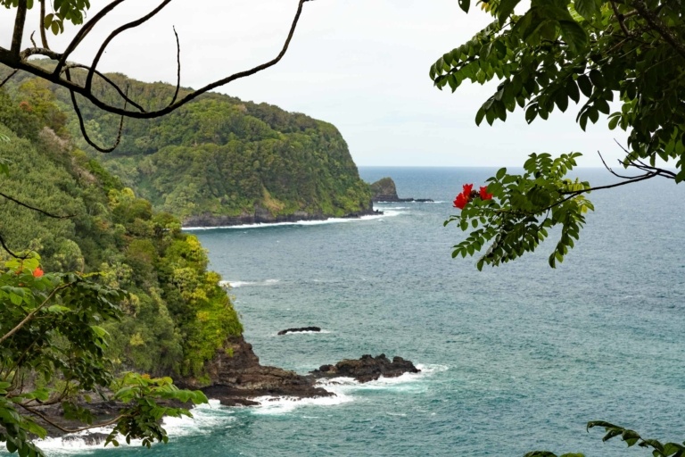 Road to Hana Cliff Views and flowers Maui Road to Hana Cliff Views and flowers Maui