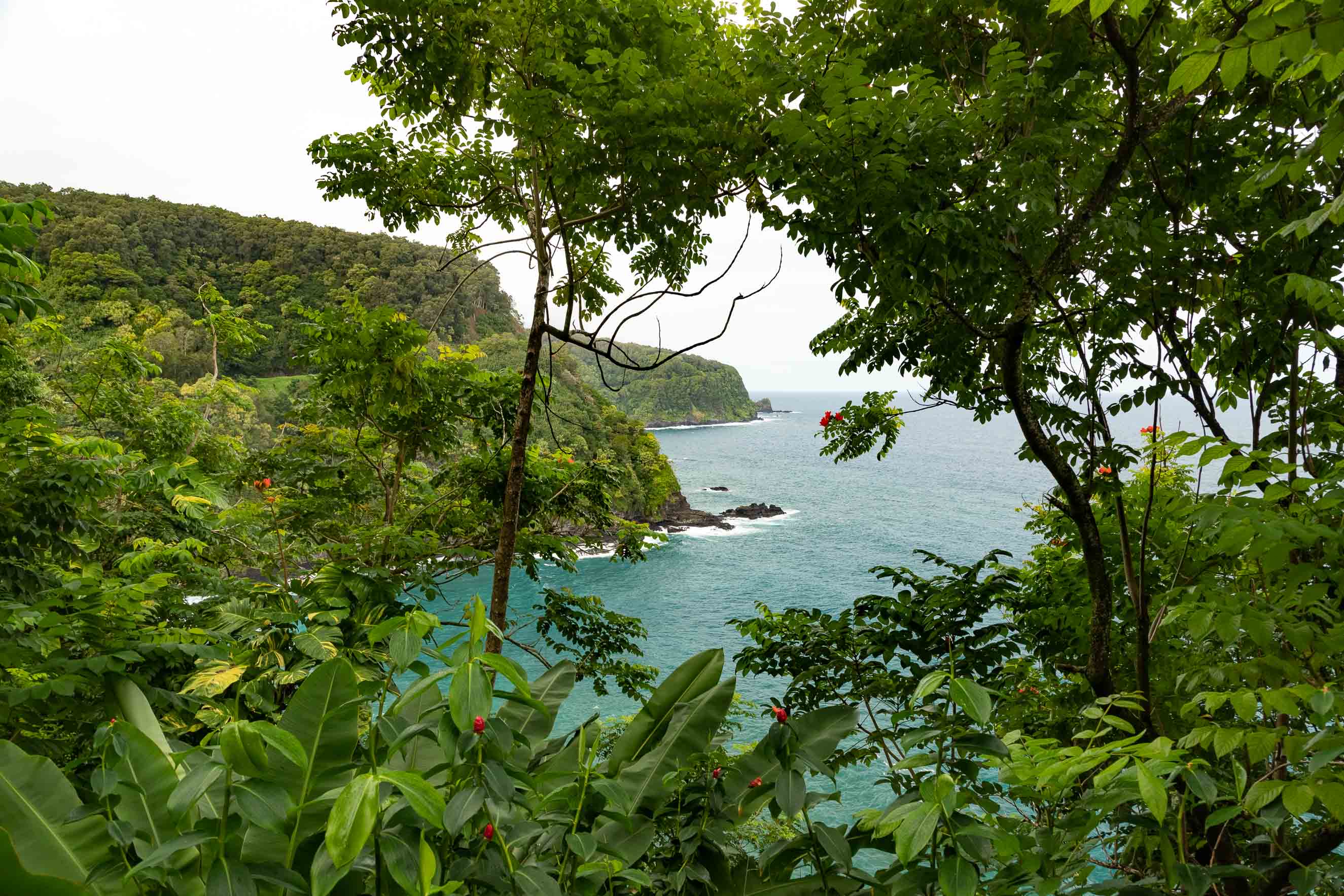 Maui Vacation Package