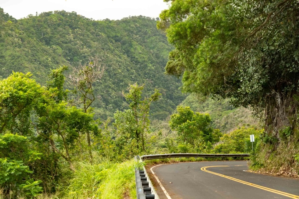 Road to Hana View of road near Honomanu Maui