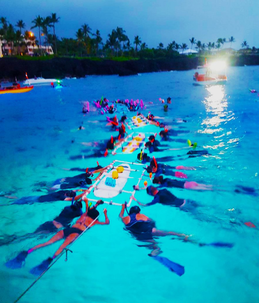 manta ray snorkel tours big island