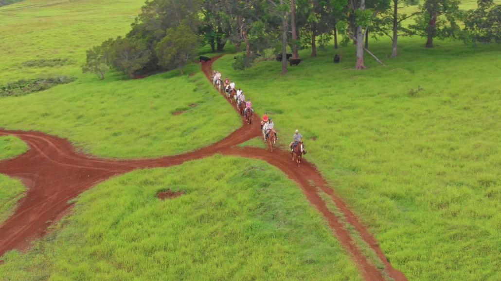 a trail ride along the countryside of hilo wailea horse back adventure