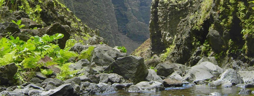 backpacking and camping on kauai kauai hiking adventures