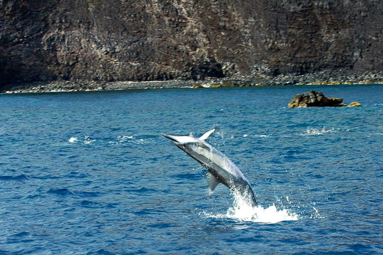 Biteme Konashare Sportfishing Trips Feature Beautiful Views Of The Kona Coast