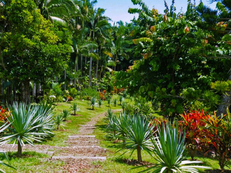 garden path umauma fall and zipline experience