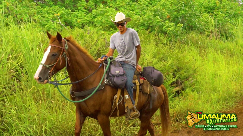 helmets and saddle bags for personal items provided wailea horseback adventure