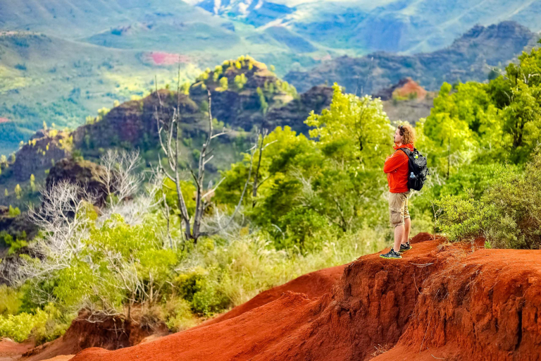 Hiking Visitor In Waimea Canyon Kauai 