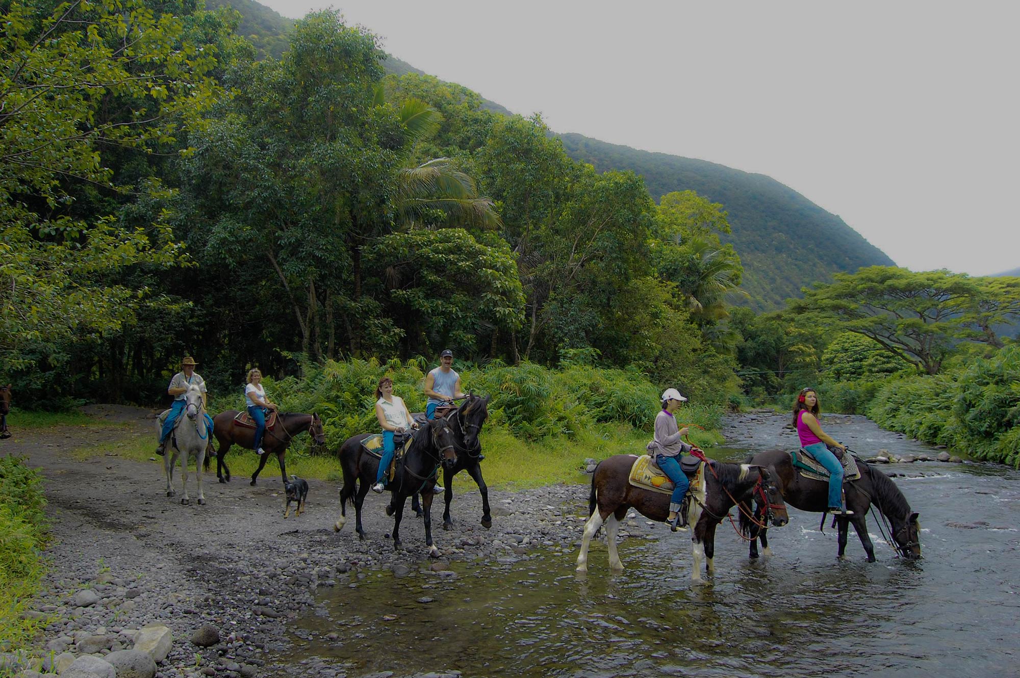 horseback tours