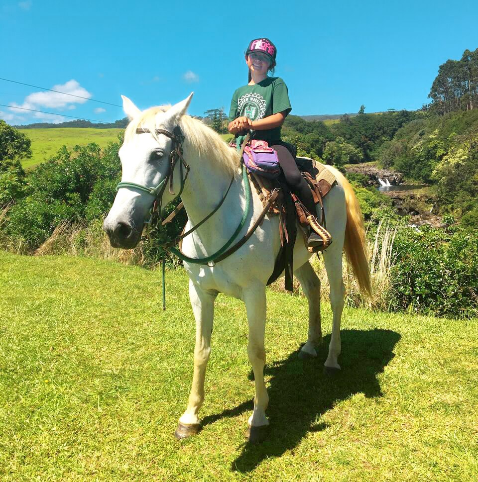 hilo horseback riding tour wailea horse back adventure
