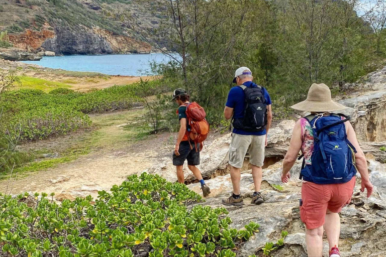 Kauaihikingtours Kauai Hiking Adventure Coastal Hike With Friends