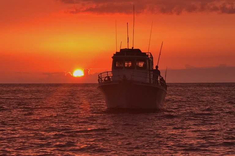 Oe Sunset Photo Good For Marketing Feature