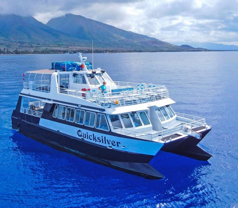 quicksilver lahaina whale watching large double decker catamaran