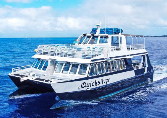 Quicksilver Maalaea Whale Watching Tour Slider Cruise