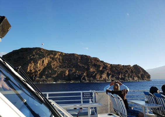 Quicksilver Maalaea Whale Watching Tour Slider Guest Take Photo