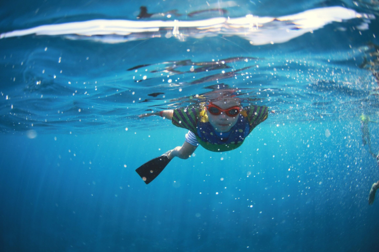 Sailtrilogy Maui Whale Watching Sail Certified Clear Water