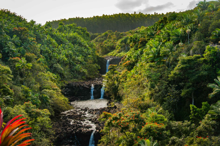  Hilo Horseback Riding Tours