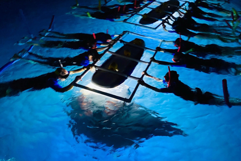 Swimwithdolphinsandmantas Big Island Manta Ray Night Snorkel Tour Night Snokel With Manta
