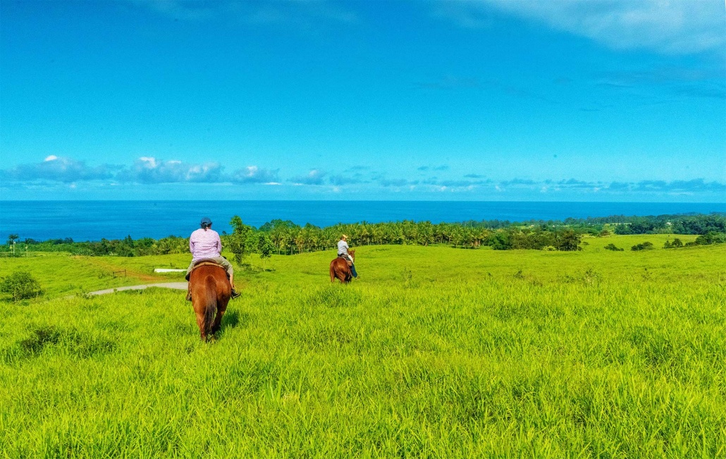 trail ride with ocean views wailea horseback adventure
