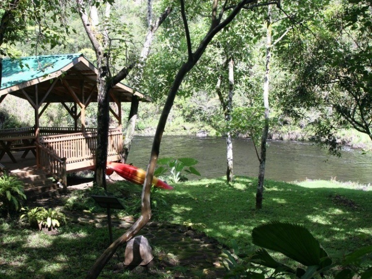 Picnic & Private River Swim