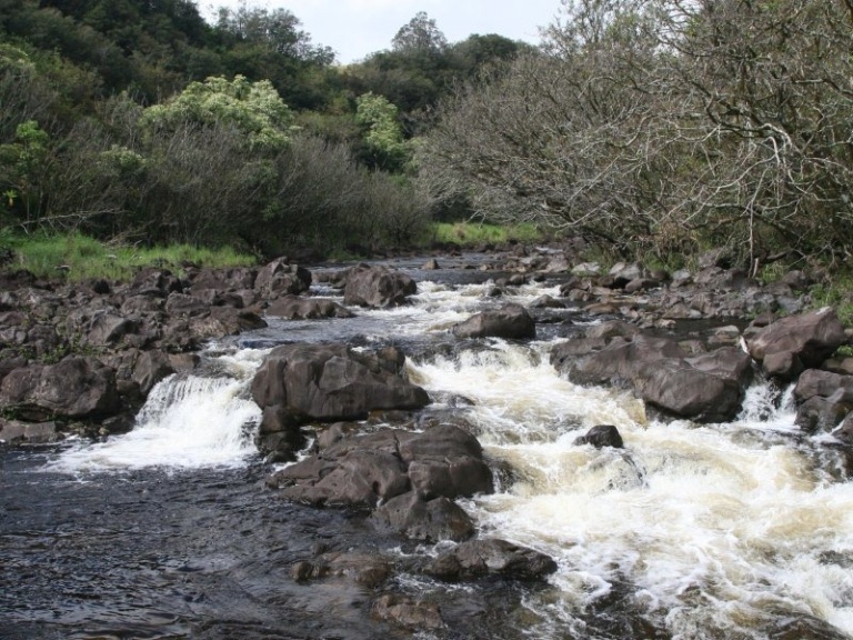 Umauma Wtaerfalls View
