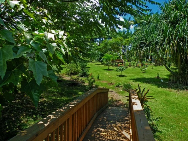 umauma fall and zipline experience garden