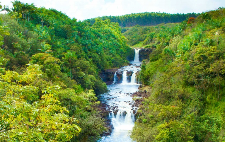 umauma falls wailea horseback adventure