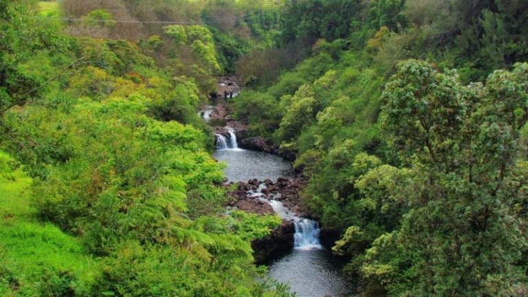 Umauma Tributary