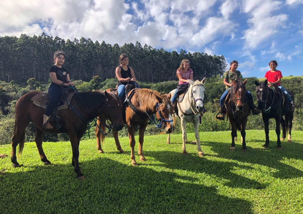 Waileahorsebackadventure Hilo Horseback Riding Tours Slide Group Riding