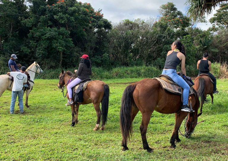 Waileahorsebackadventure Hilo Horseback Riding Tours Slide Training