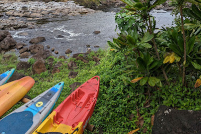 Waileahorsebackadventure Hilo Horseback Riding Tours Umauma Sup