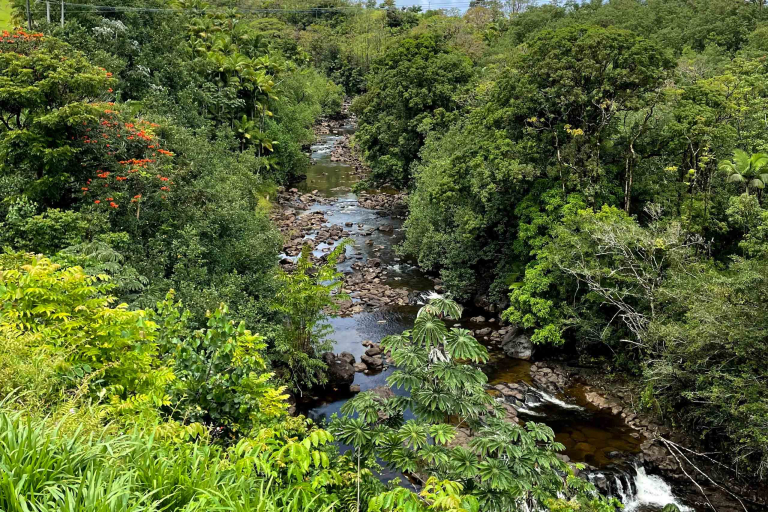Waileahorsebackadventure Hilo Horseback Riding Tours Umauma Waterfall