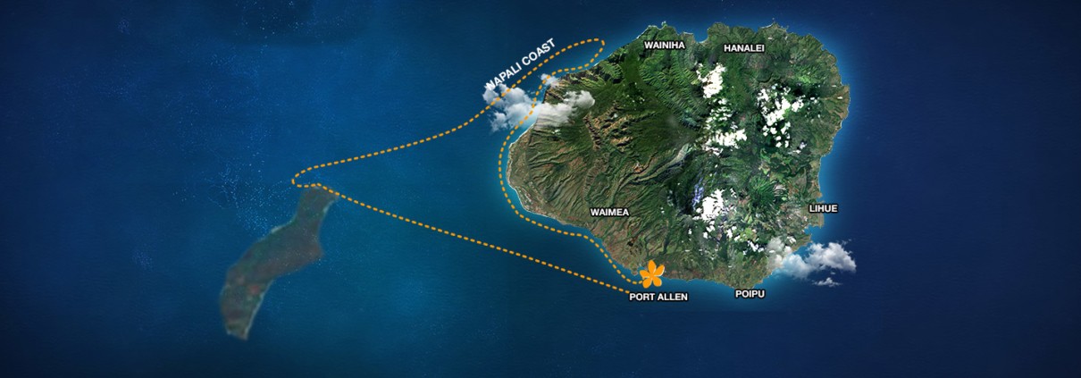 Niihau and Napali Coast Snorkeling Trip