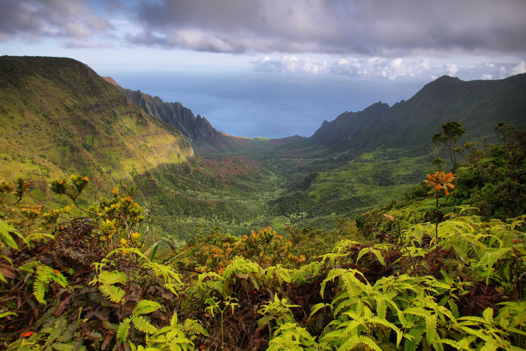 Waimea Coast View  