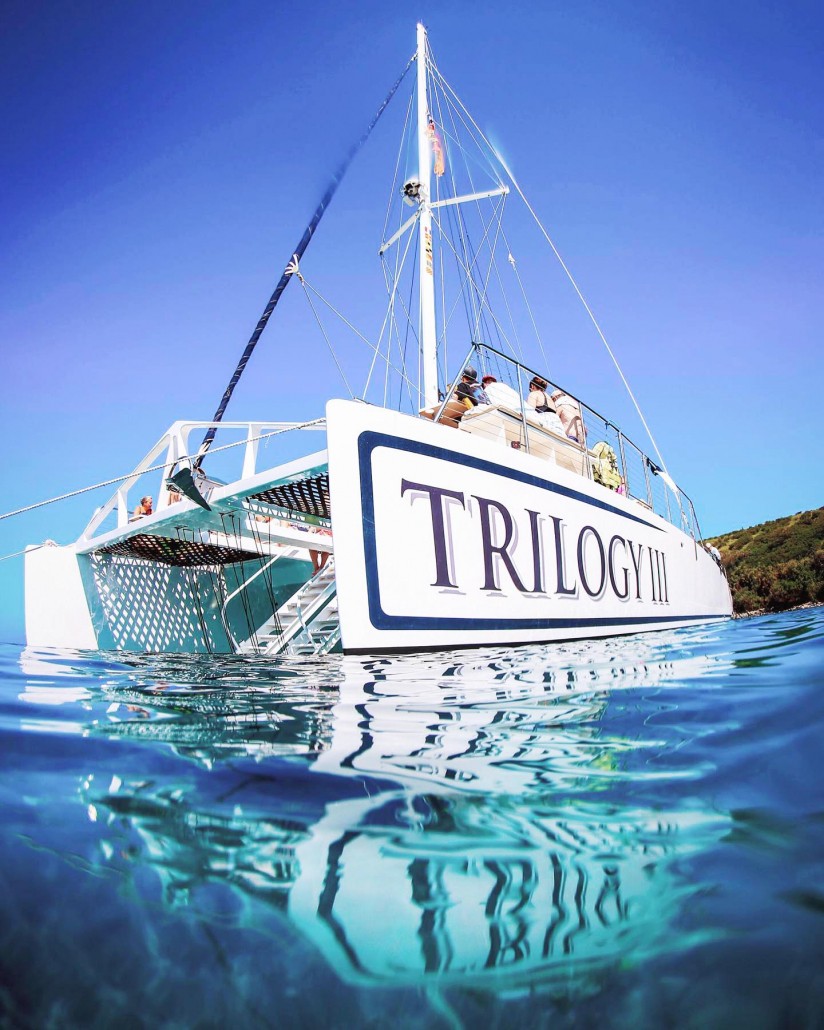 beautiful sailing day with trilogy iii boat