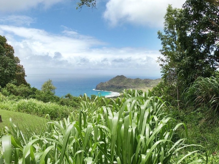 Kauai Beach Kipu Tours
