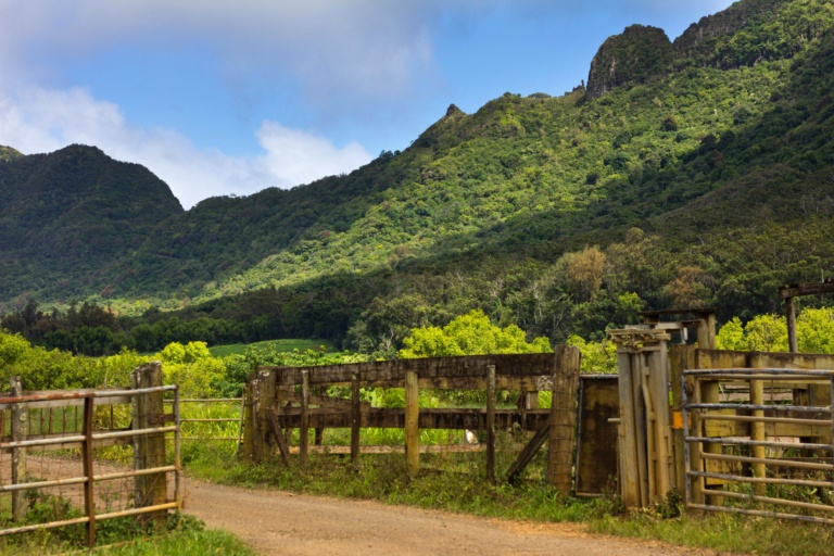 Kipu Ranch Kipu Tours Kauai