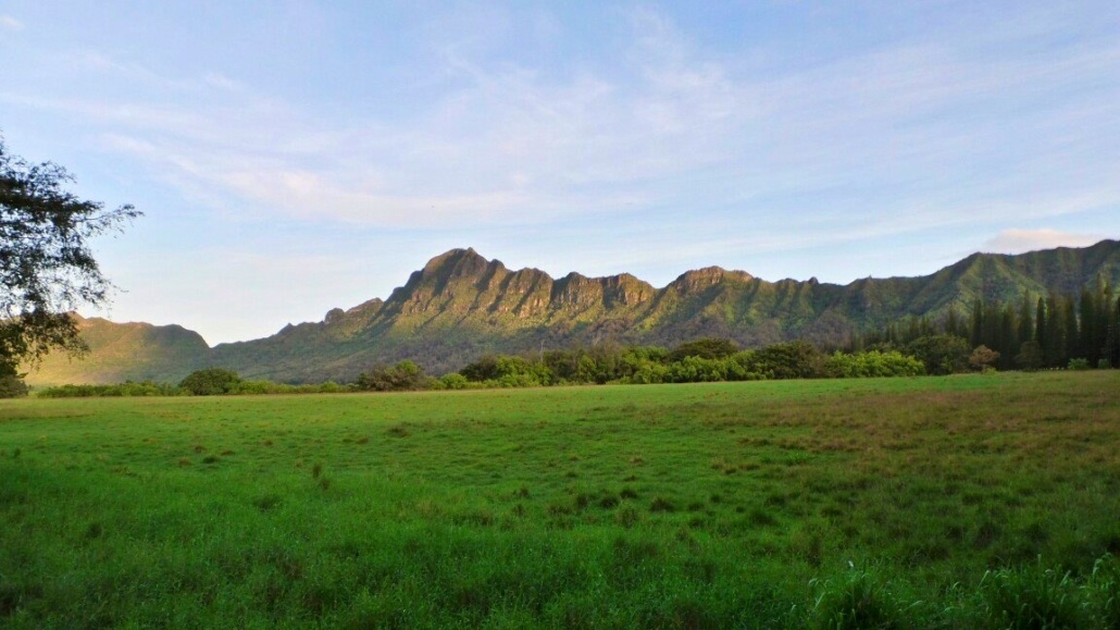 Scenic Ranch Tour Kipu Tours Kauai