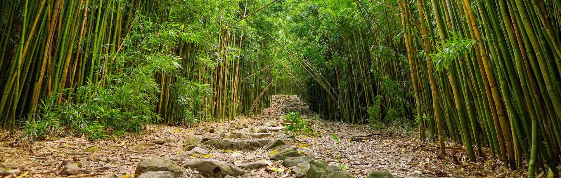 Active & Adventure Getaway