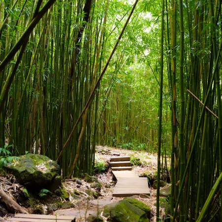 Popular Pipiwai Trail In Haleakala National Park On Maui Hawaii Product