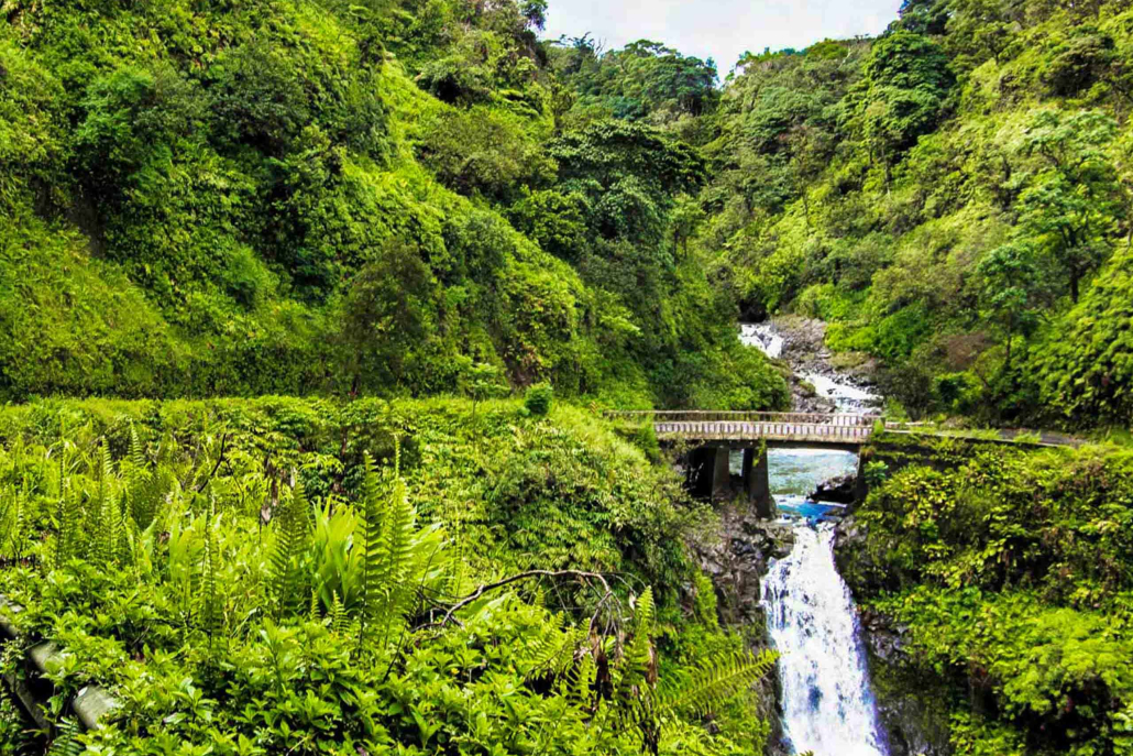 Road To Hana Air And Sightseeing Tour The Hana Highway Beside A Waterfall On The North Coast Of Maui 