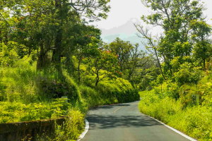 Road To Hana Scenics Maui