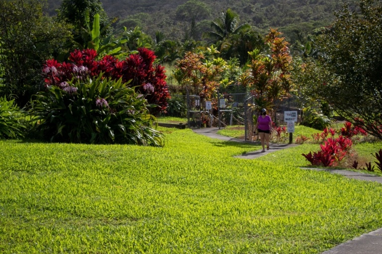 Hana Cave Walkway Entrance