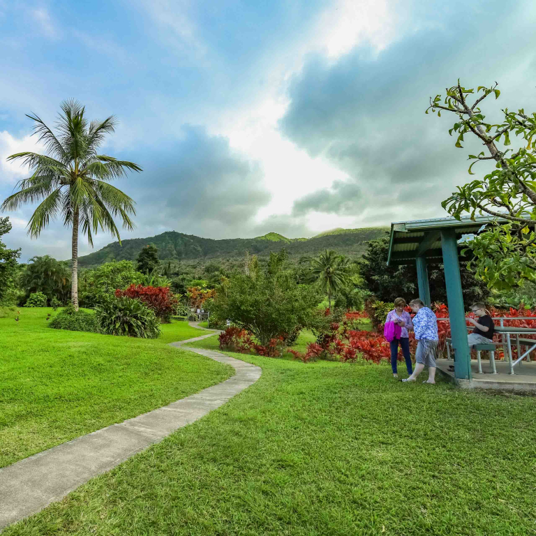 Hana Cave Adventure Road To Hana Lava Tube Cave Maui Adventure