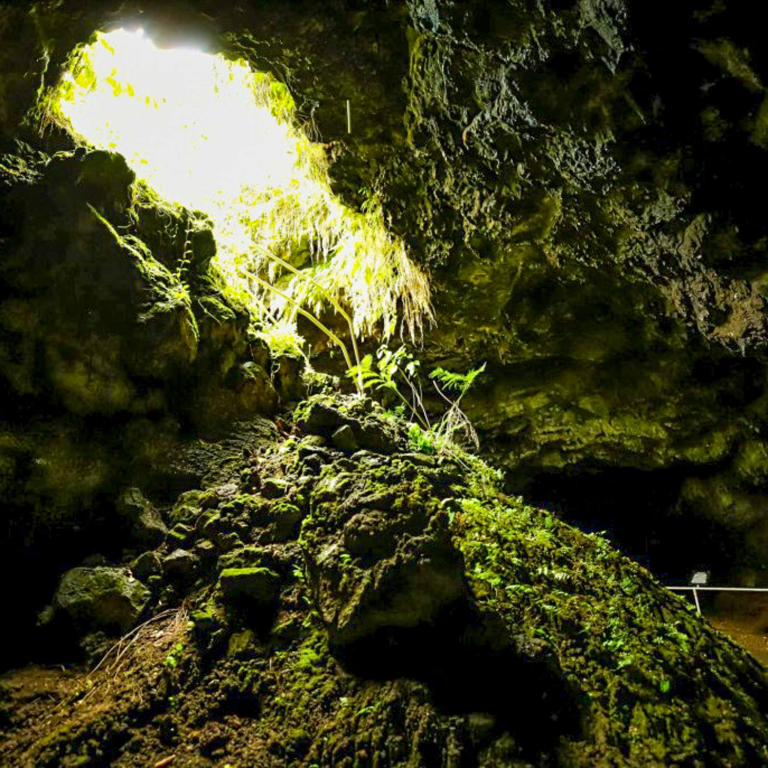 Hana Cave Adventure The Beauty Of Hana Underground Road To Hana Maui